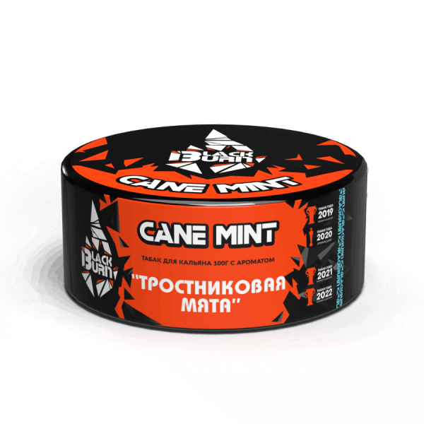 Black Burn Cane Mint (Тростниковая Мята), 100 гр