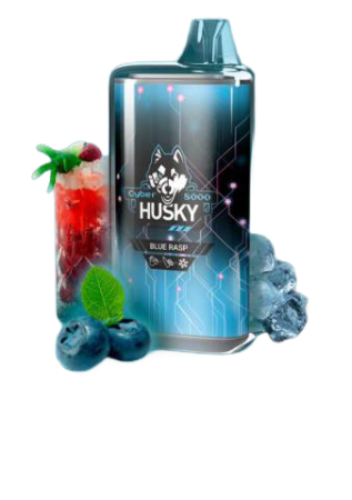 HUSKY CYBER 8000 Blue Rasp / Малиновый лимонад, черника, лёд